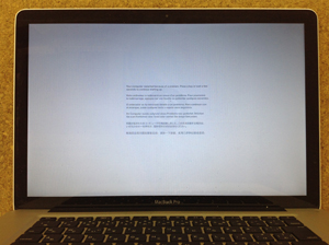 カーネルパニック画像2