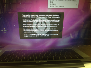 カーネルパニック