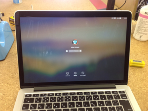 rerina 液晶パネル交換